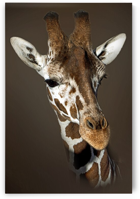 Down at Up by B Zolle