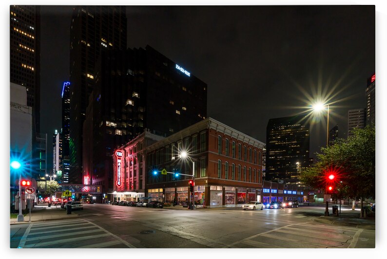 Dallas Elm And Harwood Night by Jennifer White