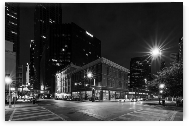 Dallas Elm And Harwood Night Grayscale by Jennifer White