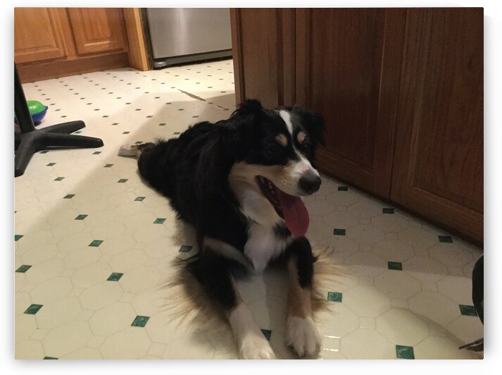 CCCBCB4D B1DF 4FD0 BACE E714BAF695E6 by BCreativeLori