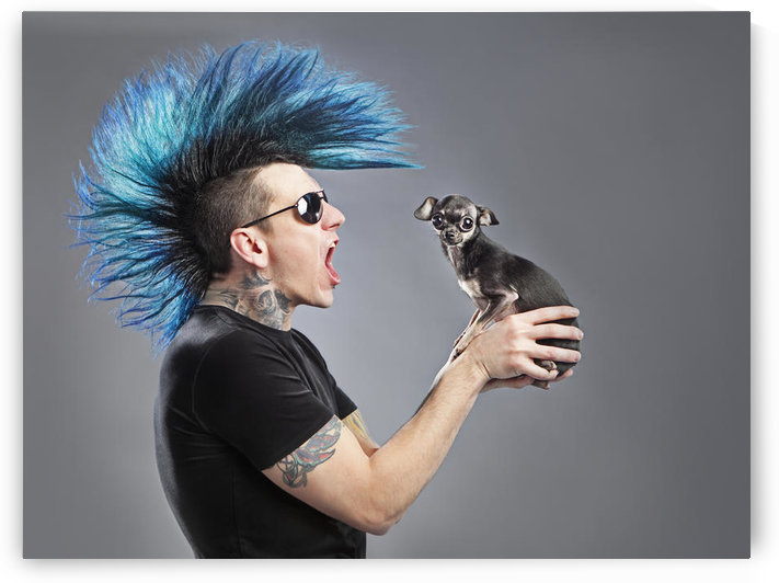 A Man With A Blue Mohawk Yells At His Dog by PacificStock