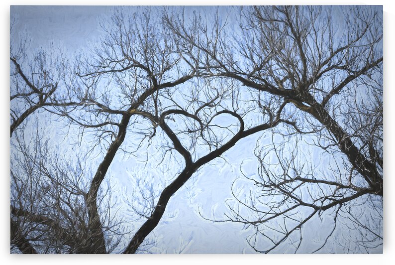 I Heart This Tree Painterly by Debra Martz Photography