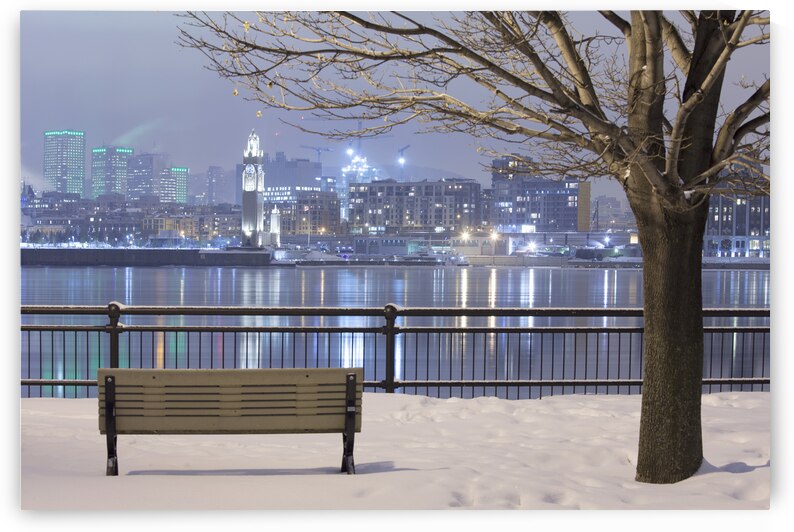 Cityscape from Inner city park at night by Atelier Knox