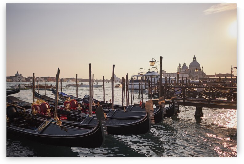 Venetian gondolas in the adriatic sea on the edge of San Marco by Atelier Knox
