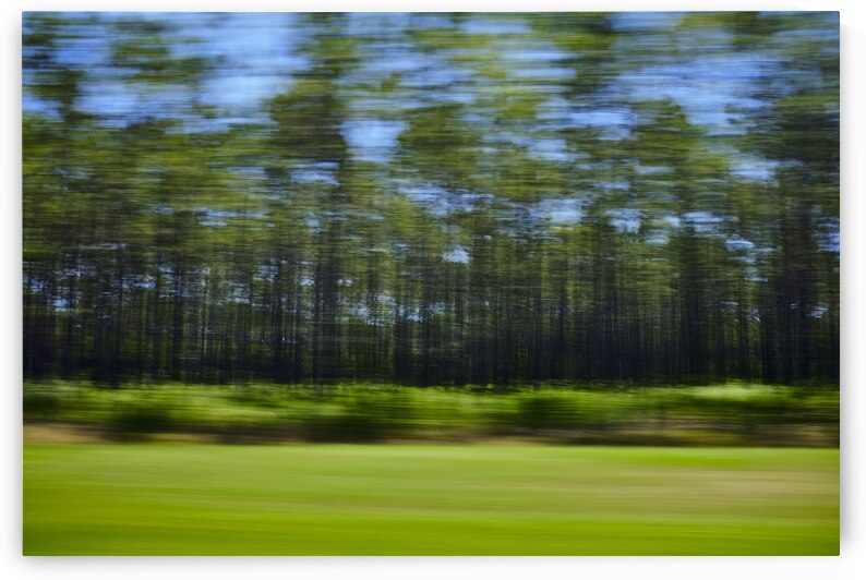 Abstract of tree blur by Atelier Knox