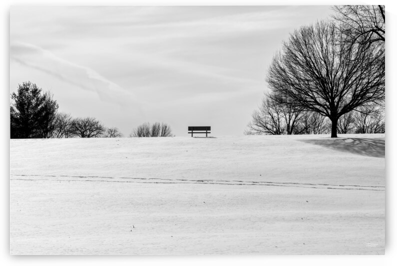 Quiet Winter Bench On Hill Grayscale by Jennifer White