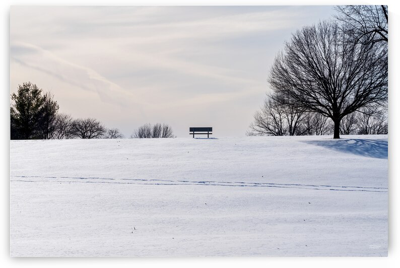 Quiet Winter Bench On Hill by Jennifer White