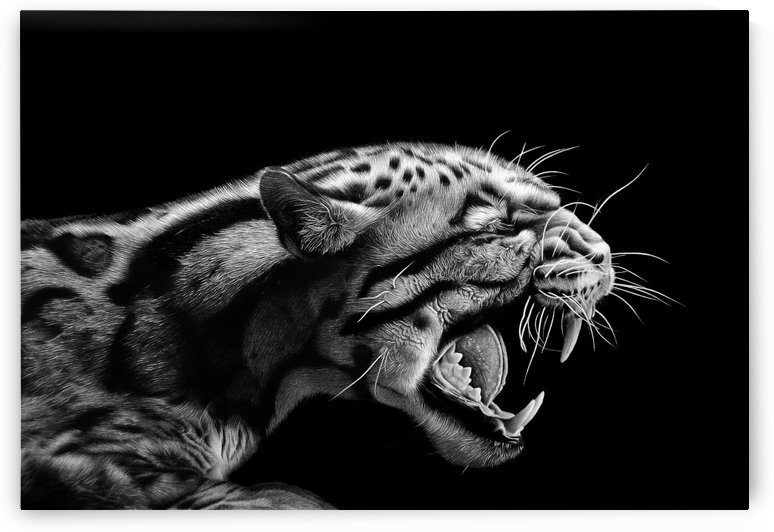 ANGER by Miro Gradinscak