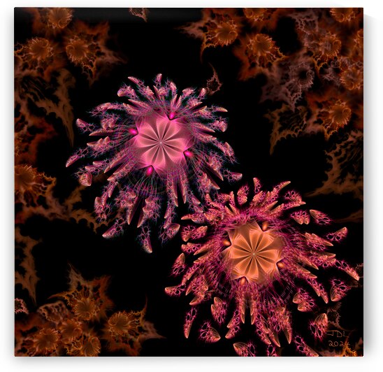 Cosmic Garden in the Night by Jodi DiLiberto 