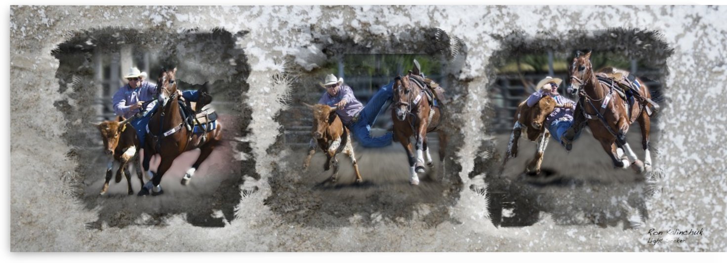 Bull Dogger by Light Seeker