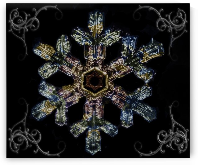 Coloured Snowflake1 by Light Seeker