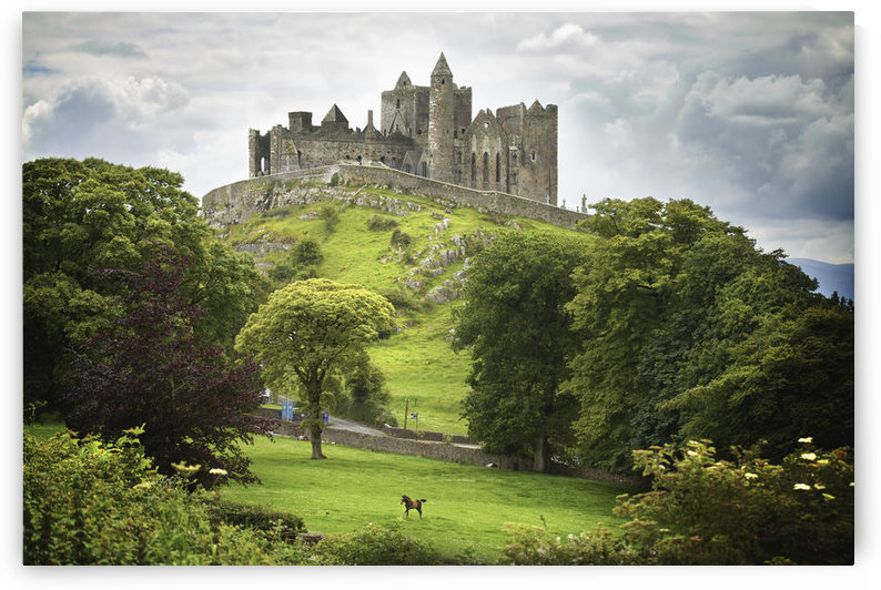 Rock Of Cashel; Cashel County Tipperary Ireland by PacificStock