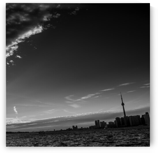 toronto skyline lake ontario shore  square 419 On by Black And White