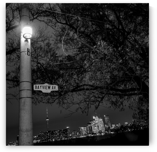 toronto skyline at night  square 425 Twelve 13k.j by Black And White