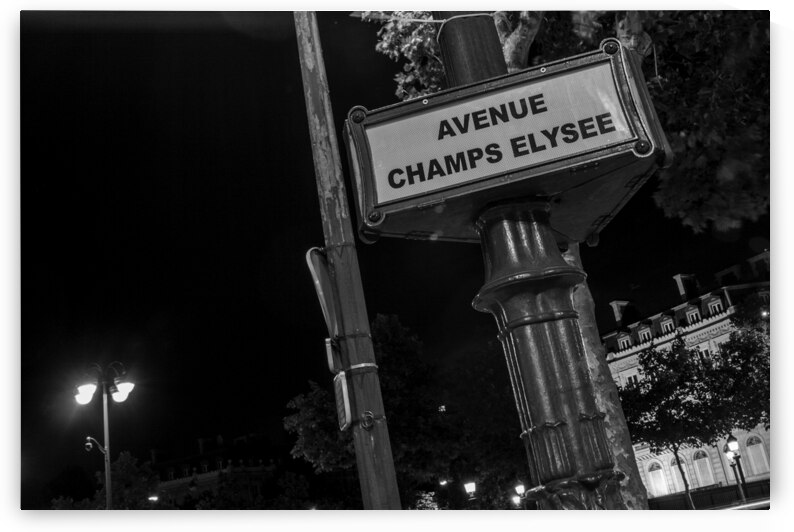 avenue champs elysee lamp post  horizontal 2443 E by Black And White