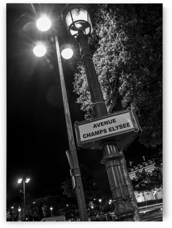 avenue champs elysee lamp post  vertical 2443 Ely by Black And White