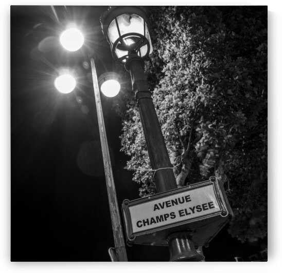 avenue champs elysee lamp post  square 2443 Elyse by Black And White