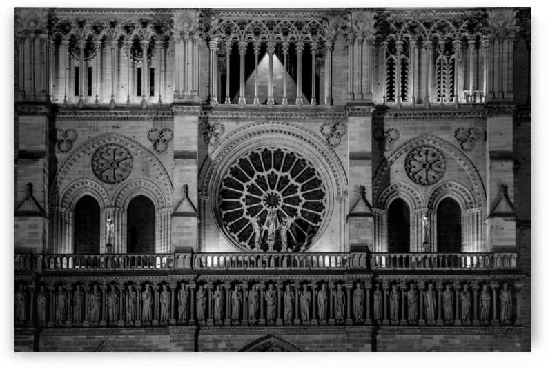western facad of notre dame de paris at night  ho by Black And White