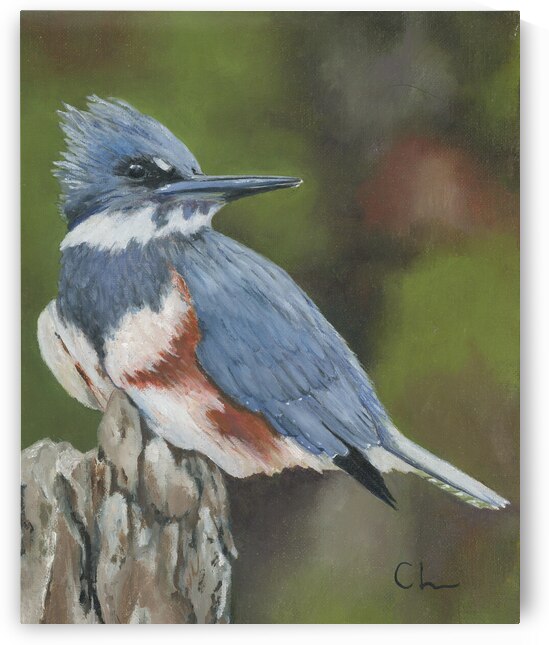 King Fisher by Art Workshop ND