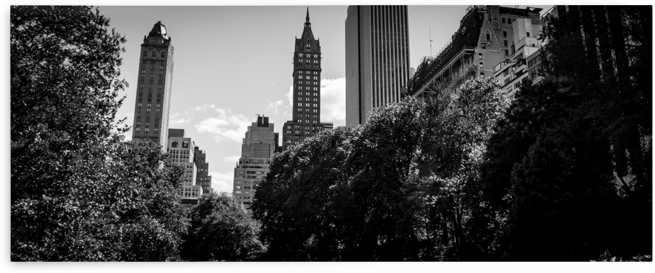central park pond  panoramic 378 Pond 13k by Black And White