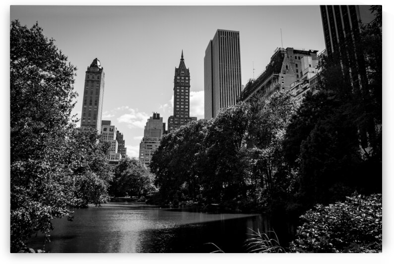 central park pond  horizontal 378 Pond 13k by Black And White