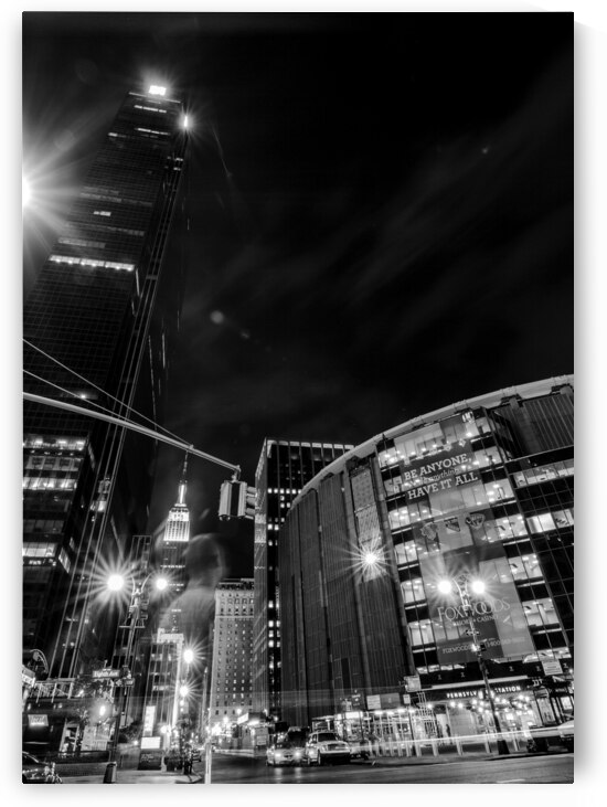 madison square garden penn station  vertical 1482 by Black And White