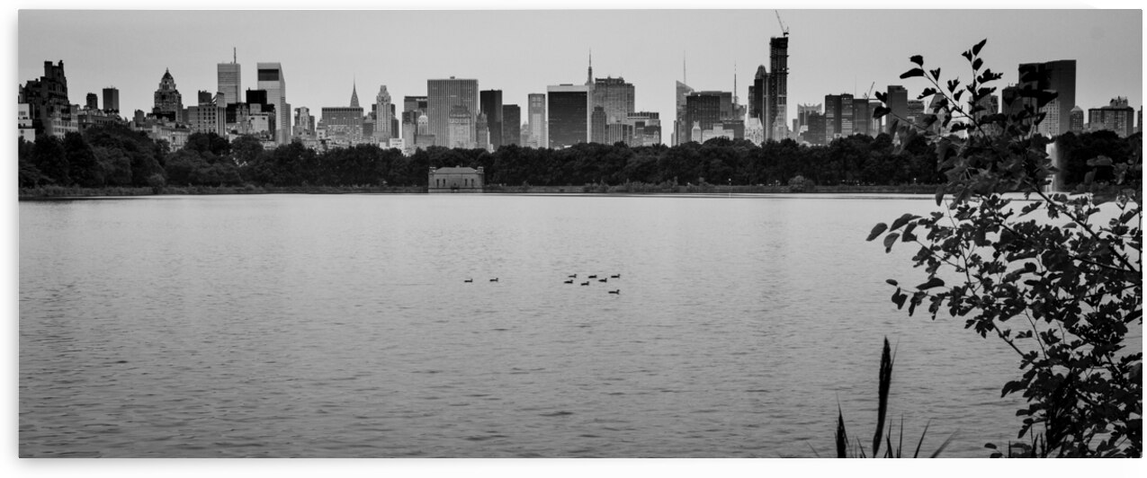 jaqueline kennedy onassis reserveoir  panoramic 1 by Black And White