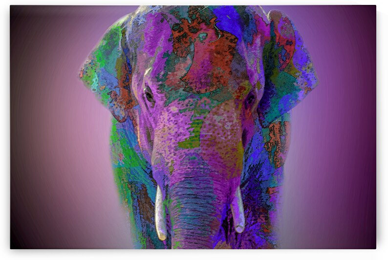 A Little Too Much for Me by B Zolle