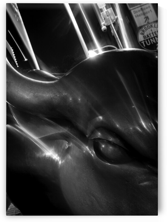 wall street bull  vertical 1414 Bull 13k by Black And White