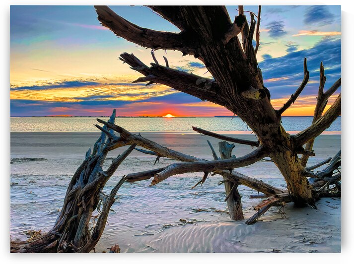 Boneyard Sunset on Jekyll Island by Bill Swartwout Photography