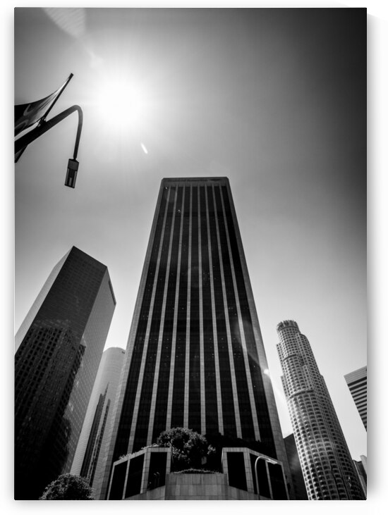 BOA building US bank buildings downtown LA  verti by Black And White