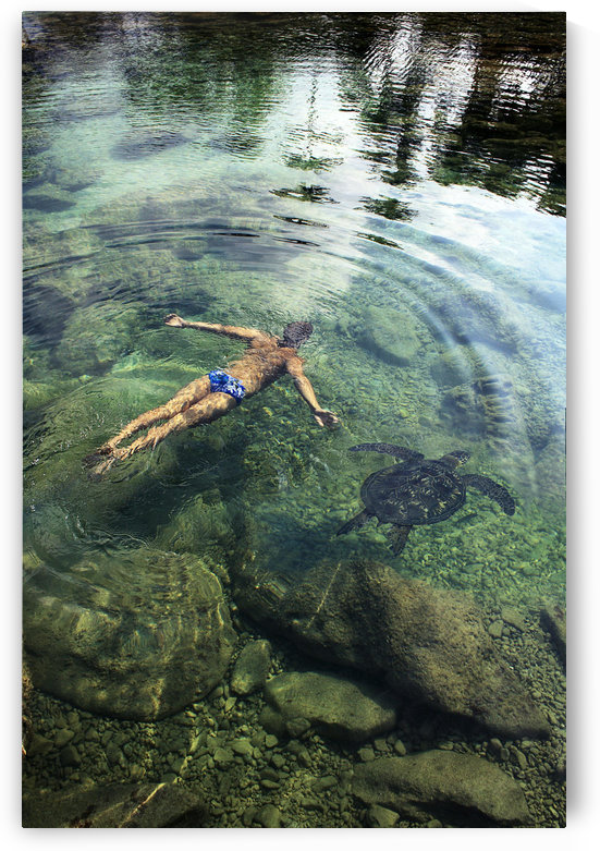 Hawaii, Oahu, Man And Hawaiian Sea Turtle Swimming Side By Side In The Ocean Reef, View From Above. by PacificStock