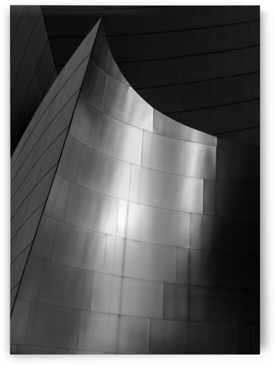stainless steel walt disney concert hall  vertica by Black And White