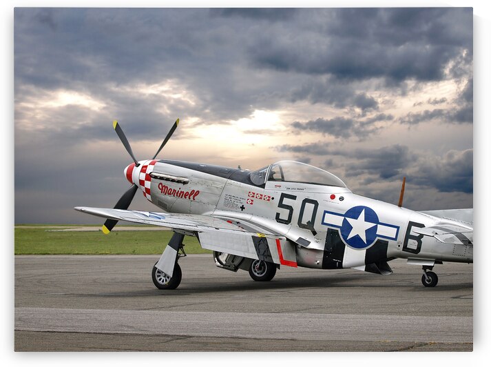 Well Earned Rest p-51 by Gill Billington