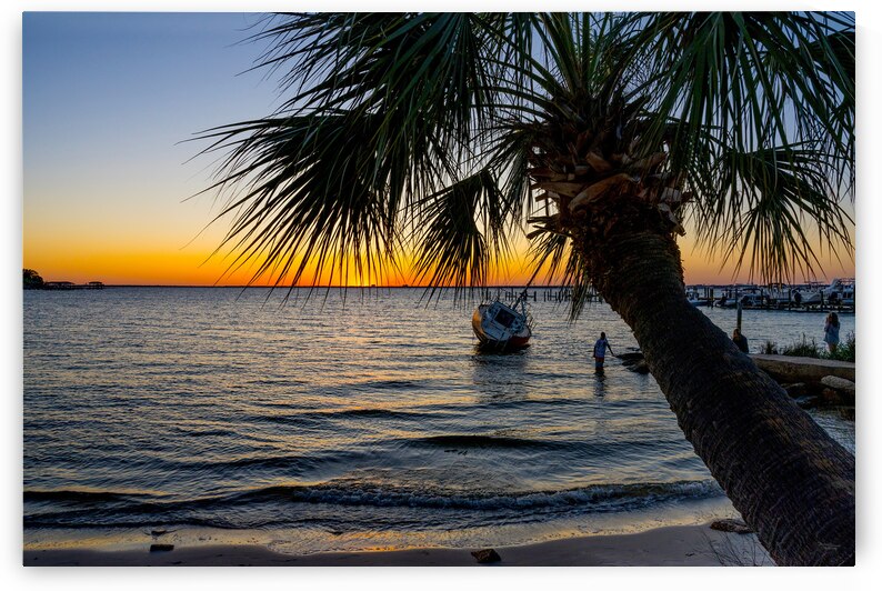 Gulf Breeze Palm Tree And Sailboat Sunset by Jennifer White