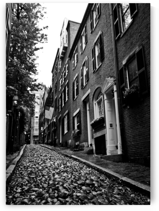 acorn street beacon hill  vertical 1369 Acorn 13k by Black And White