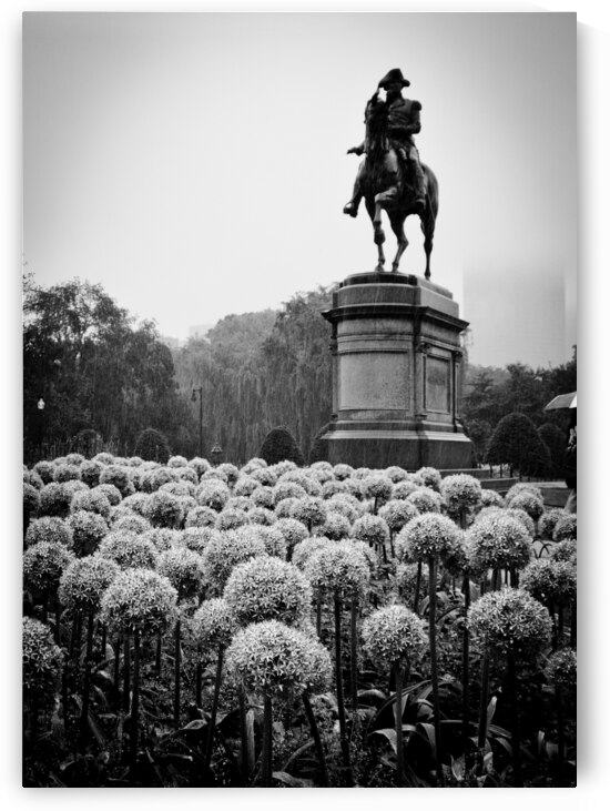 george washington statue public garden  vertical by Black And White