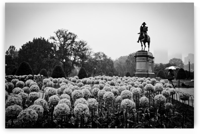 george washington statue public garden  horizonta by Black And White