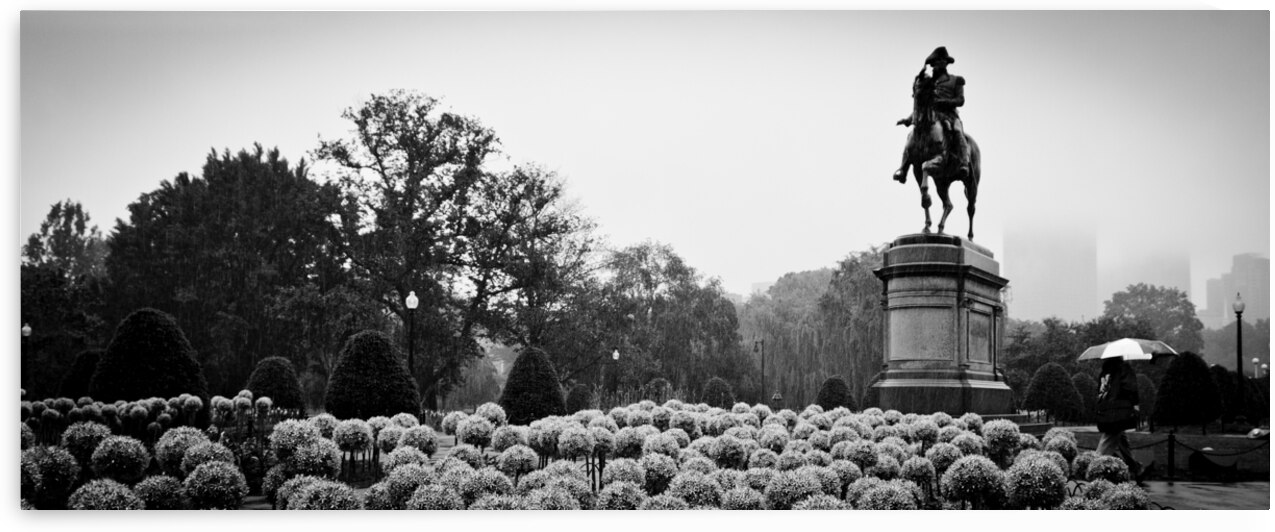george washington statue public garden  panoramic by Black And White