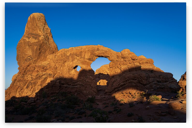 Worshiping the Rising Sun by Geoffrey Prior