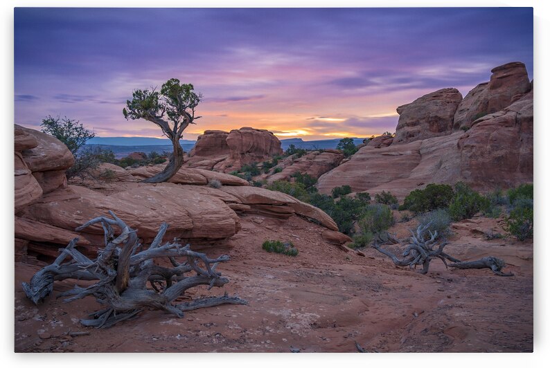 Arches Sunrise by Geoffrey Prior