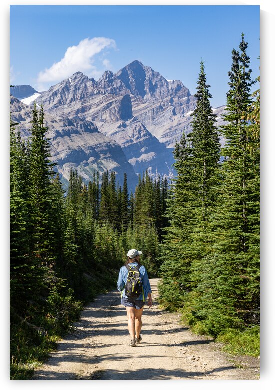 Bow Summit Lookout Hike by Geoffrey Prior