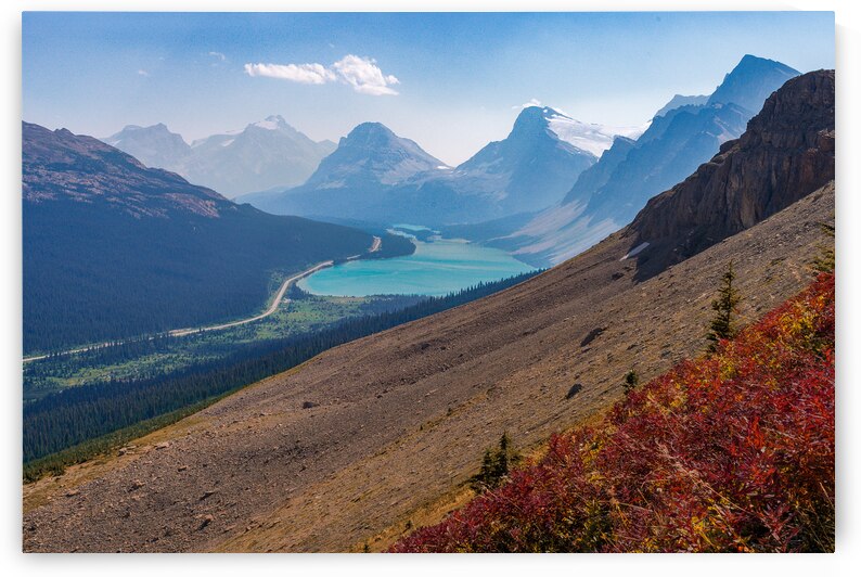 Bow Lake View by Geoffrey Prior