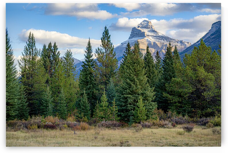 Bow Valley Parkway by Geoffrey Prior