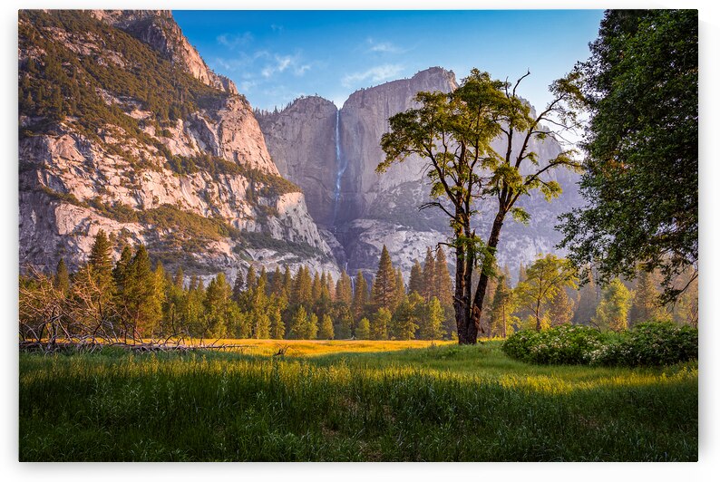 Yosemite Fals from Valey Floor by Geoffrey Prior