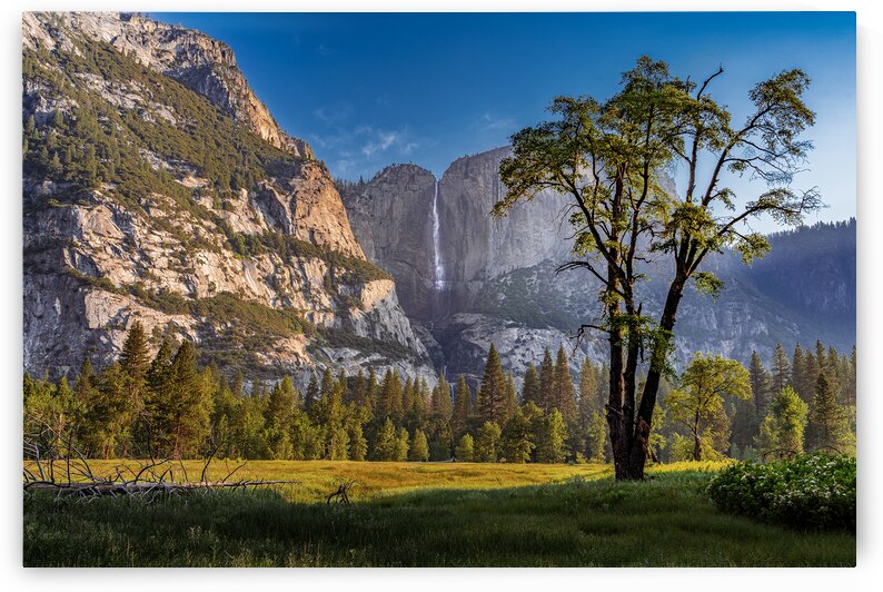 Yosemite Falls Morning  by Geoffrey Prior