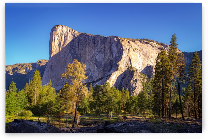 Big Stone by Geoffrey Prior