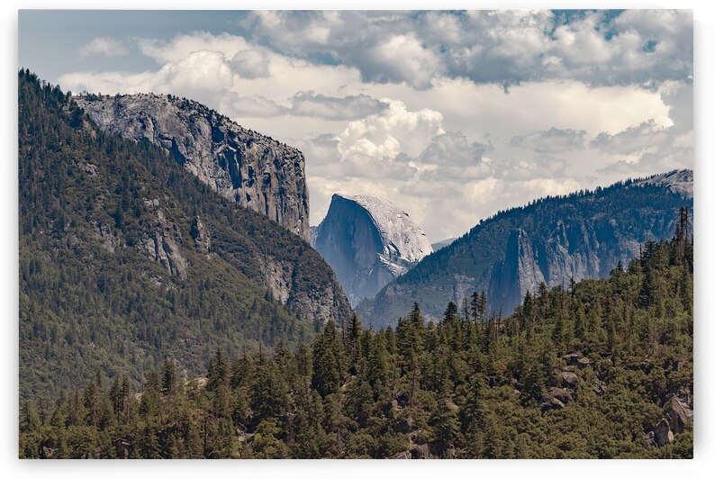 Half Dome Sight by Geoffrey Prior