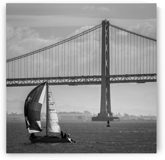 bay bridge and full sail boat  square 2766 Broad by Black And White