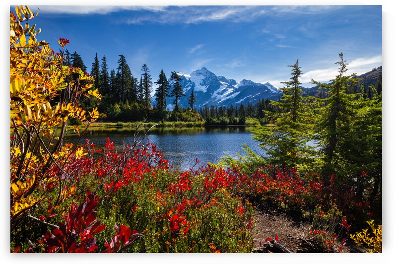 Mt. Shuksan Fall by Gary Skiff Photography